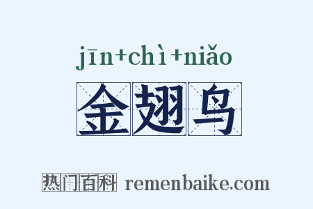 金翅鸟是什么意思的图片